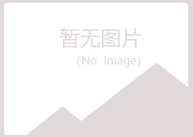 大同新荣晓夏采矿有限公司